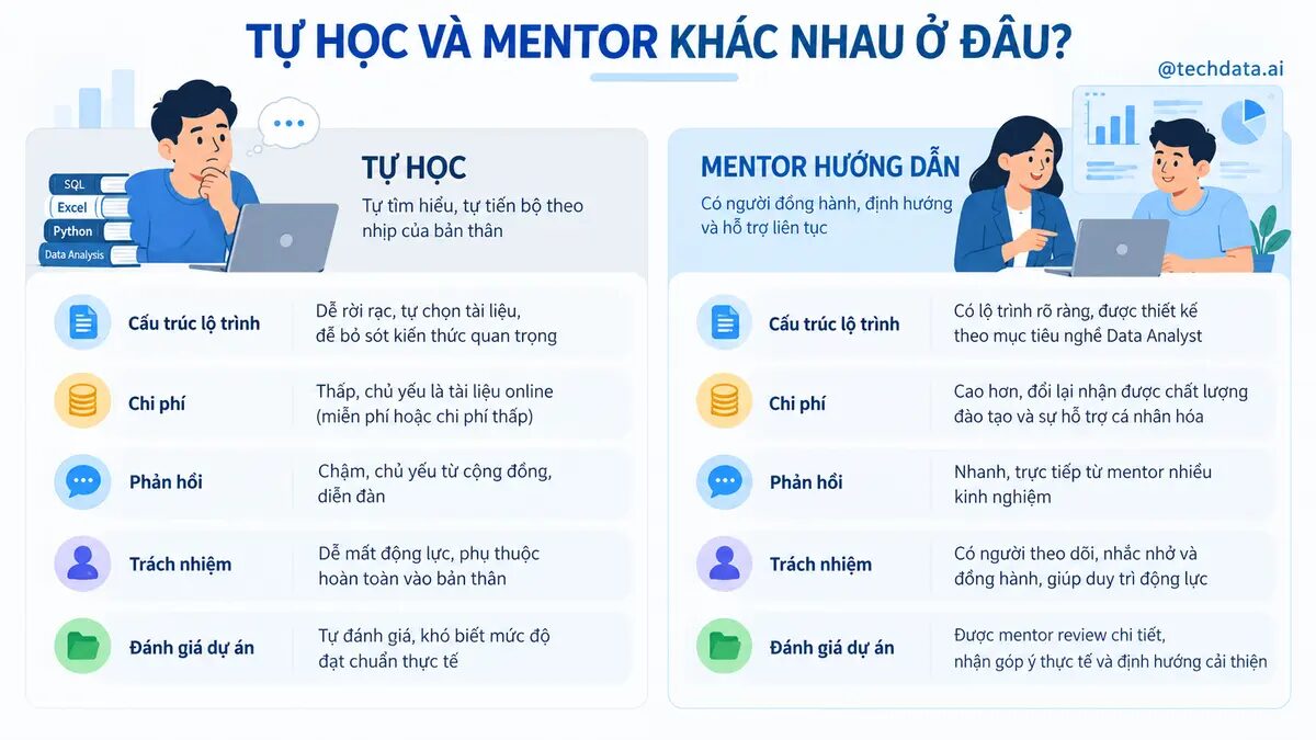So sánh tự học Data Analyst và học cùng mentor